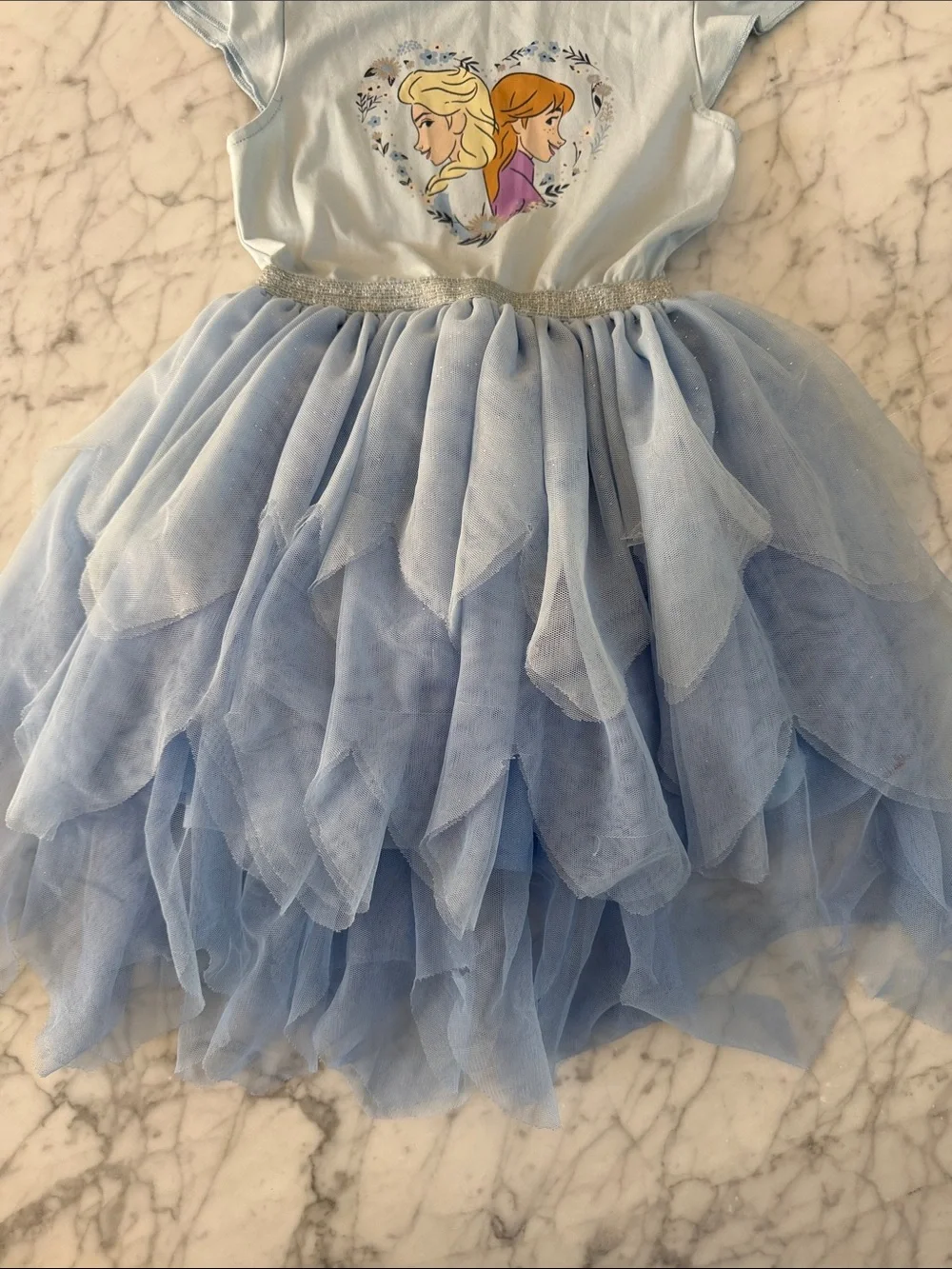Elsa Anna Frozen Dress Sz 6T Tulle Flutter Sleeve